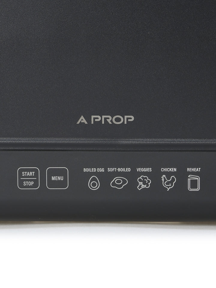 レコルト チキン&ボイルクッカー プラス A PROP 7